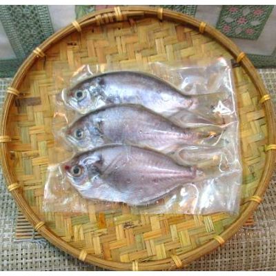 澎湖野生現撈肉鯽(肉魚)<3尾250g>(潭邊)