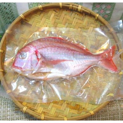 澎湖野生現撈盤仔魚<1尾200g>(潭邊)