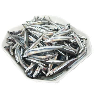 澎湖赤崁丁香魚<青丁>