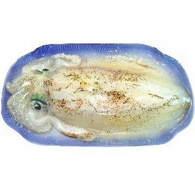 澎湖海釣魷魚(軟絲)<1尾1250g>(急凍真空) 